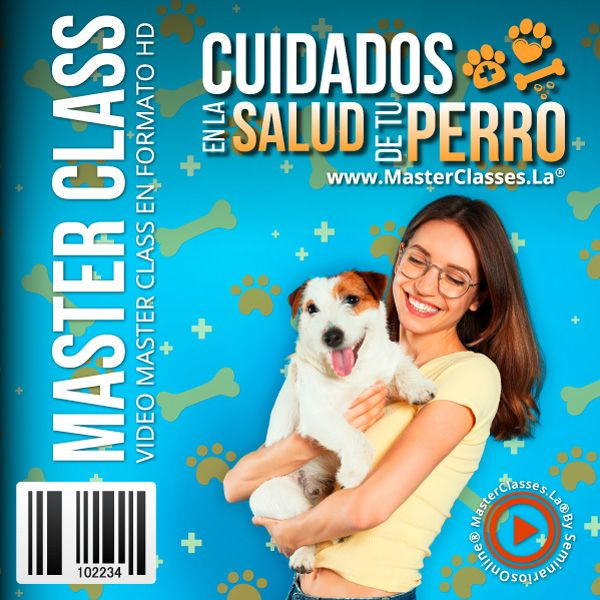 CUIDADOS CORRECTOS EN LA SALUD DE TU PERRO