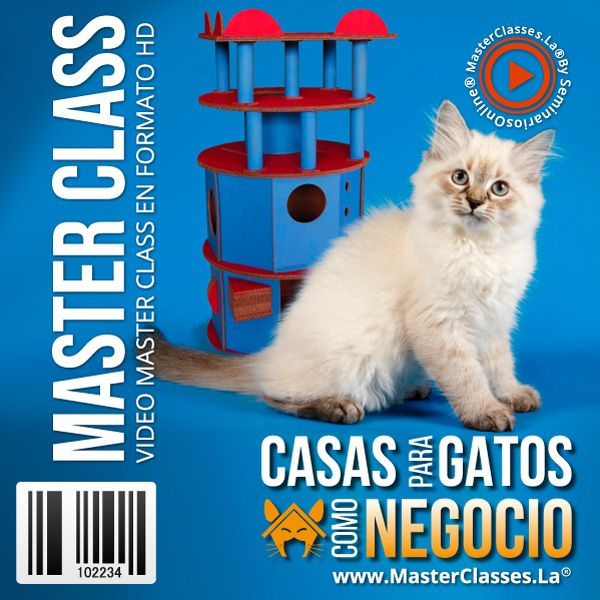 CASAS PARA GATOS COMO NEGOCIO