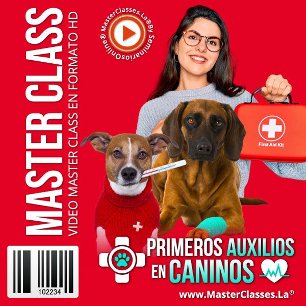 PRIMEROS AUXILIOS EN CANINOS