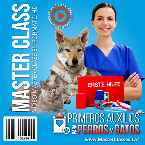 PRIMEROS AUXILIOS PARA PERROS Y GATOS