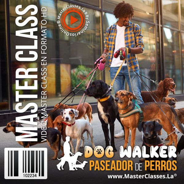 DOG WALKER – PASEADOR DE PERROS