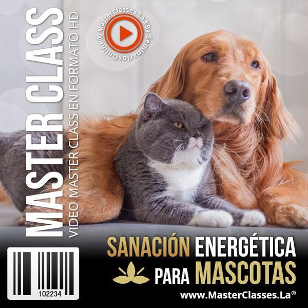 SANACIÓN ENERGÉTICA PARA MASCOTAS