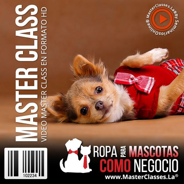 ROPA PARA MASCOTAS COMO NEGOCIO