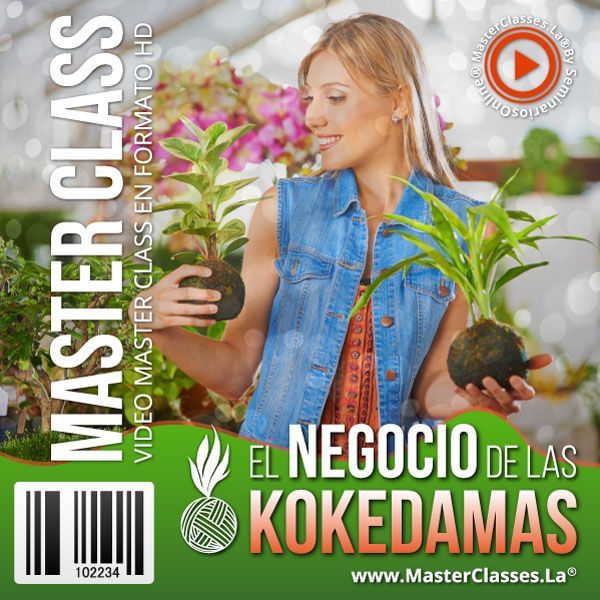 EL NEGOCIO DE LAS KOKEDAMAS
