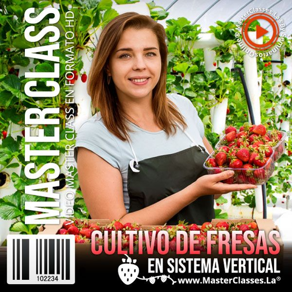 CULTIVO DE FRESAS EN SISTEMA VERTICAL