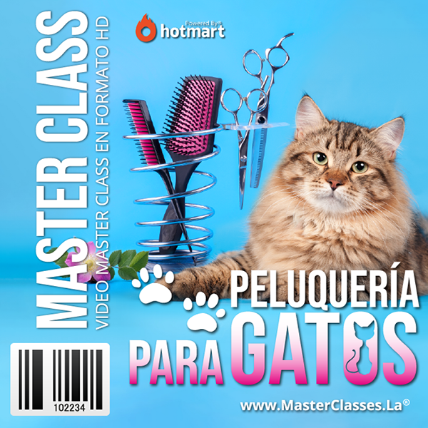 PELUQUERÍA PARA GATOS
