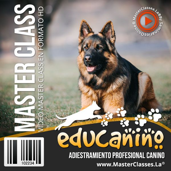 EDUCANINO. TODO SOBRE ADIESTRAMIENTO CANINO