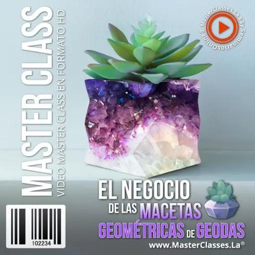 [1701973] EL NEGOCIO DE LAS MACETAS GEOMÉTRICAS DE GEODAS