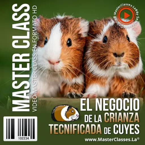 [1979062] EL NEGOCIO DE LA CRIANZA TECNIFICADA DE CUYES