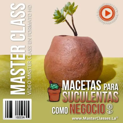 [1882031] MACETAS PARA SUCULENTAS COMO NEGOCIO