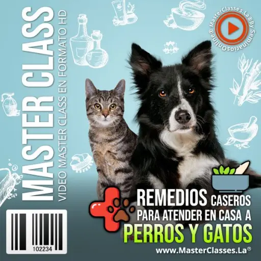 [1871517] REMEDIOS CASEROS PARA ATENDER EN CASA A PERROS Y GATOS