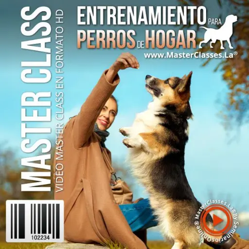 [1770665] ENTRENAMIENTO PARA PERROS DE HOGAR