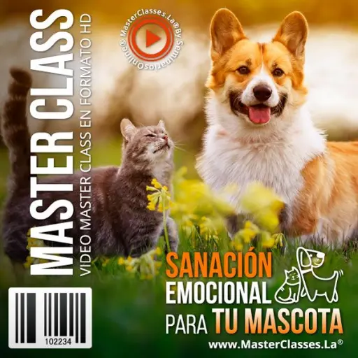 [1691174] SANACIÓN EMOCIONAL PARA TU MASCOTA