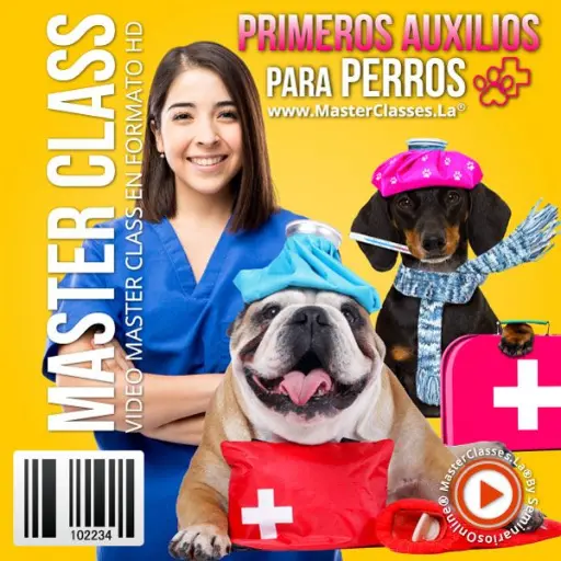 [1689185] PRIMEROS AUXILIOS PARA PERROS