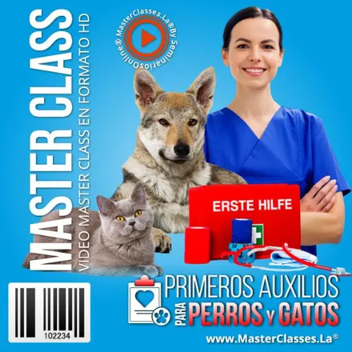 [1620474] PRIMEROS AUXILIOS PARA PERROS Y GATOS