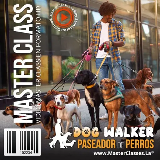 [1565136] DOG WALKER – PASEADOR DE PERROS
