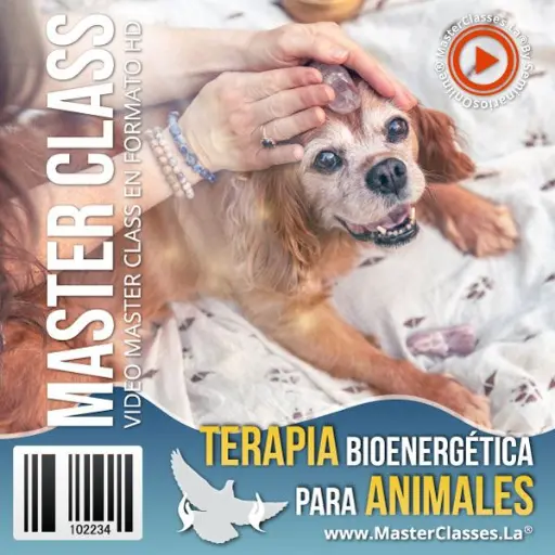 [1511604] TERAPIA BIOENERGÉTICA PARA ANIMALES