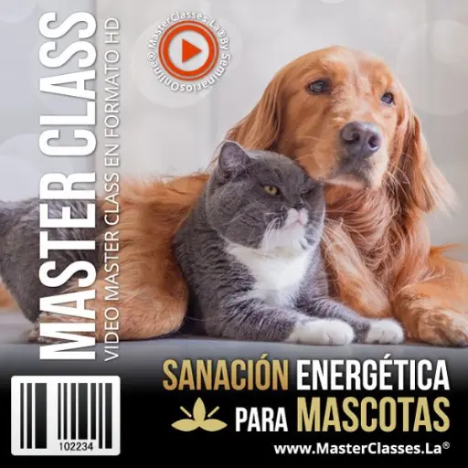 [1496589] SANACIÓN ENERGÉTICA PARA MASCOTAS