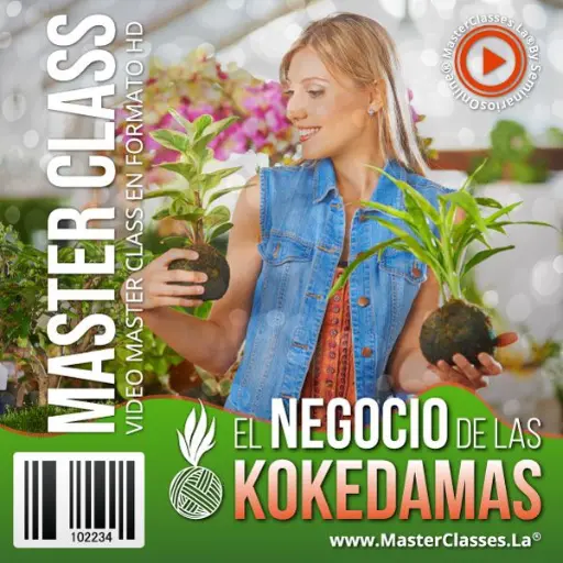 [1430634] EL NEGOCIO DE LAS KOKEDAMAS