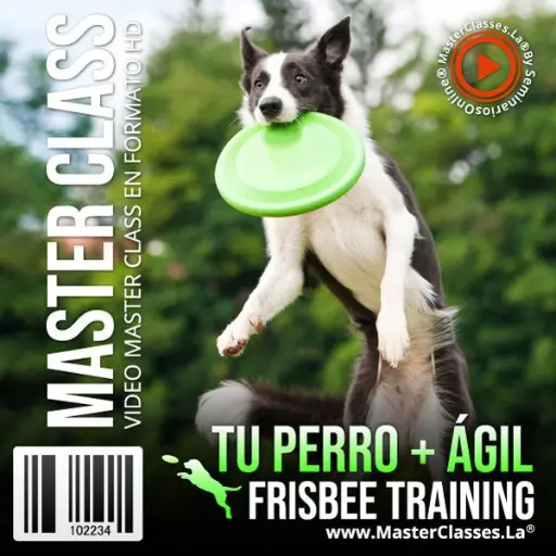 [1343113] TU PERRO + ÁGIL – FRISBEE TRAINING