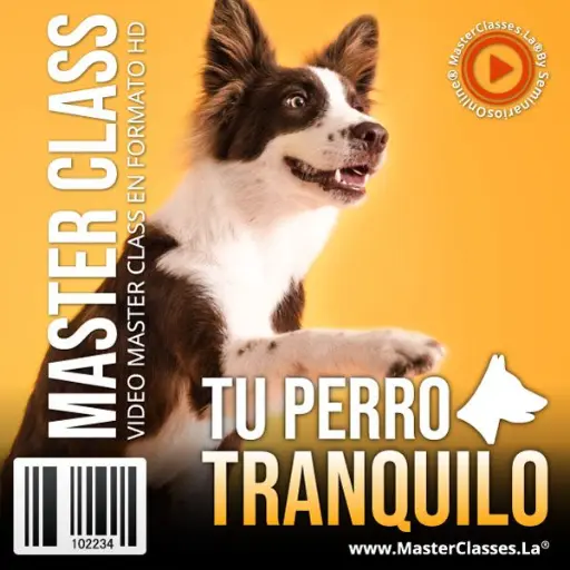 [1316852] TU PERRO TRANQUILO