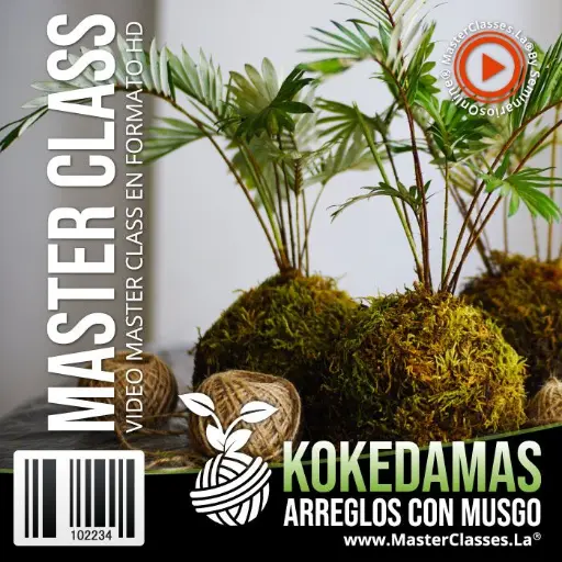 [1324240] KOKEDAMAS ARREGLOS CON MUSGO