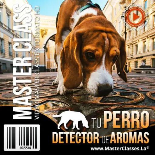 [1281073] TU PERRO DETECTOR DE AROMAS