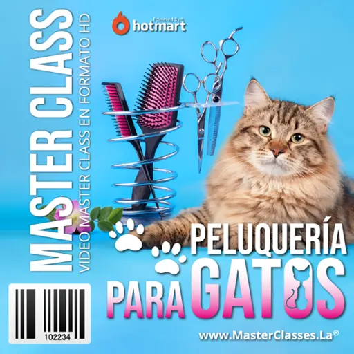 [1131934] PELUQUERÍA PARA GATOS