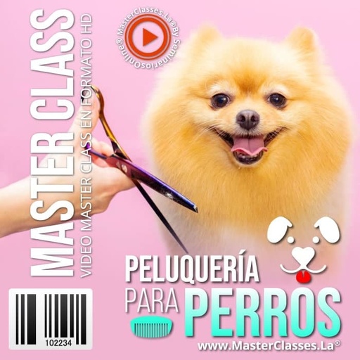 [1100847] PELUQUERÍA PARA PERROS