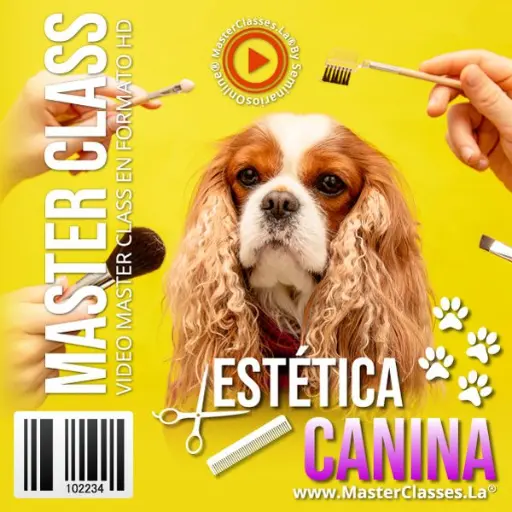 [1090646] ESTÉTICA CANINA
