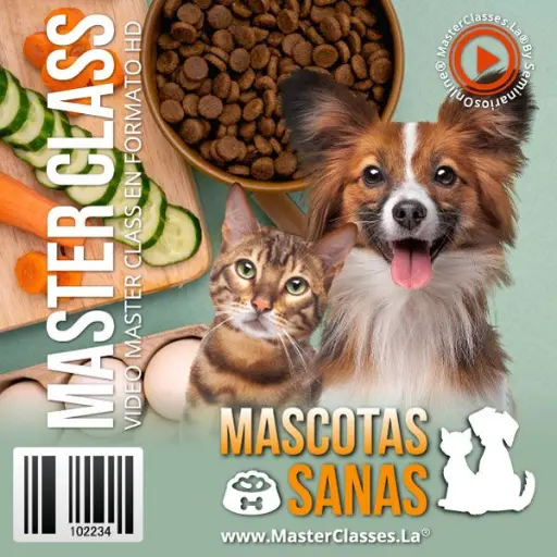 [1778106] MASCOTAS SANAS